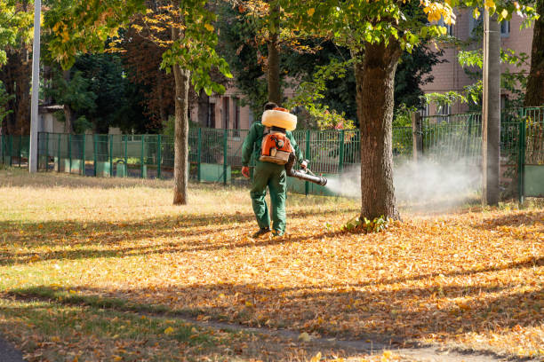 Wasp Removal Services in Montebello, NY