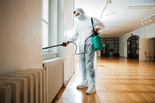 Best Best Pest Control Companies  in Montebello, NY